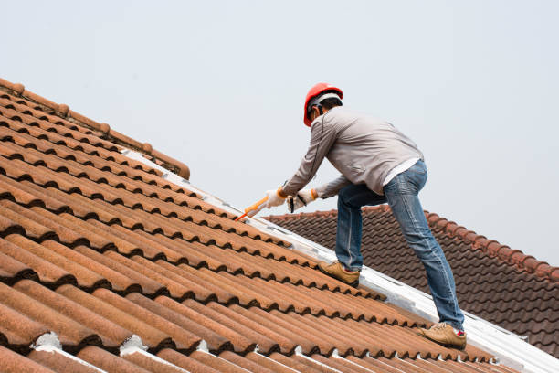 Roof Insulation in Chapin, SC