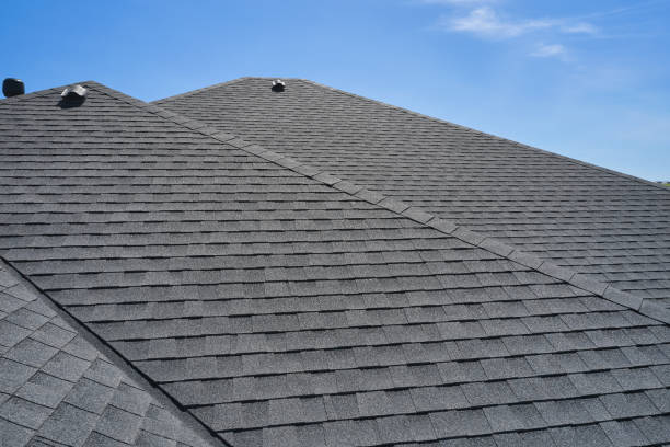 Best Rubber Roofing (EPDM, TPO)  in Chapin, SC