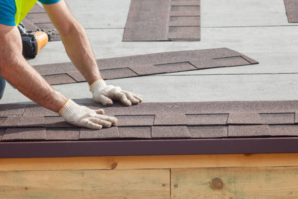 Best Chimney Flashing Repair  in Chapin, SC